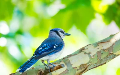 When Being “Strong” Was Never a Choice