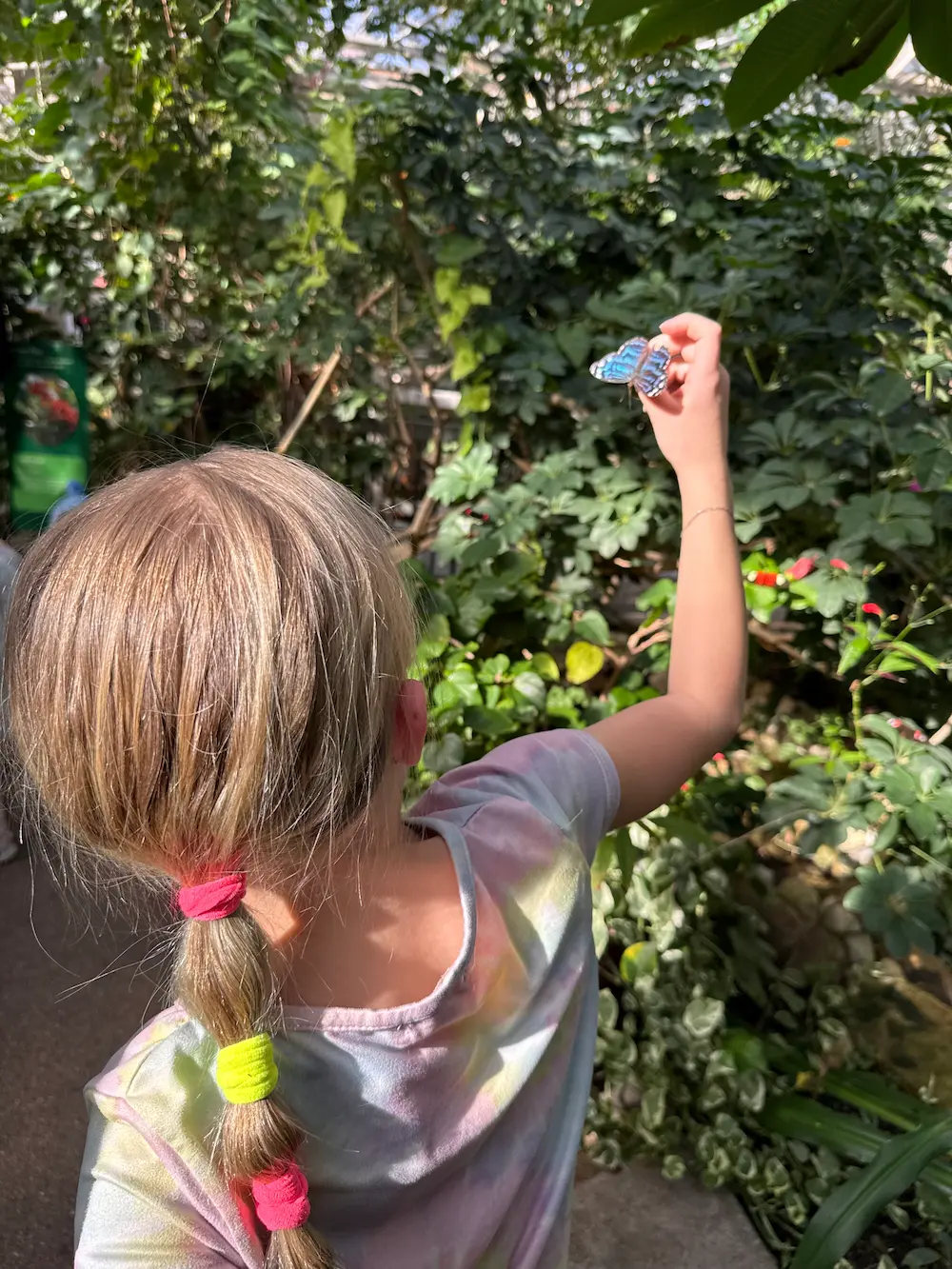 Why This Work Is Personal