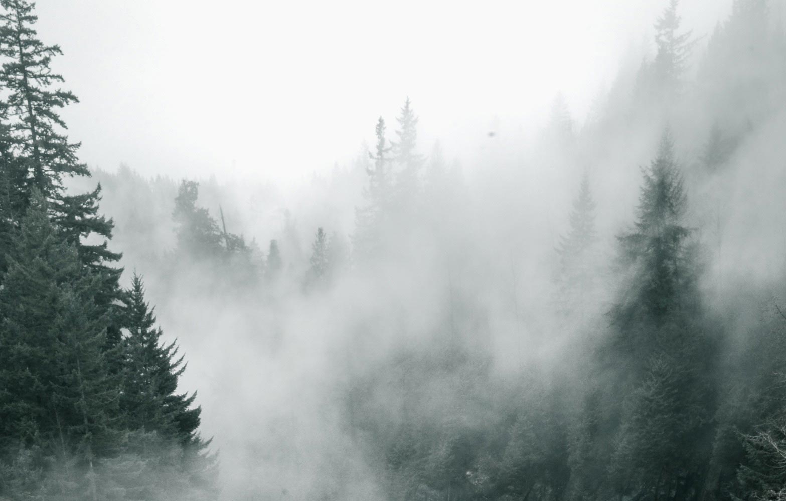Why You Keep Choosing People Who Feel Emotionally Unavailable